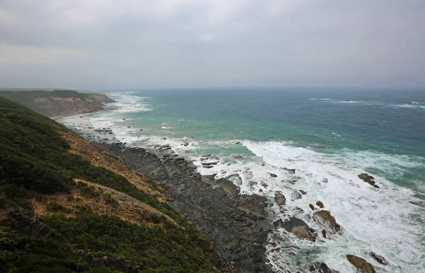 Cape Otway Pasifik Sahili Victoria Avustralya — Stok fotoğraf