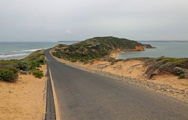 Nepean Ulusal Parkı 'ndaki patika Mornington Yarımadası, Victoria, Avustralya