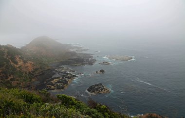 Cape Schanck - Mornington Yarımadası, Victoria, Avustralya