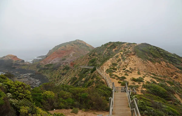 Passeio Marítimo Cape Schanck Mornington Peninsula Victoria Austrália — Fotografia de Stock