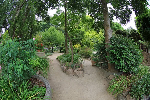 Walking Gardens Ashcombe Maze Lavender Gardens Shoreham Victoria Австралия — стоковое фото