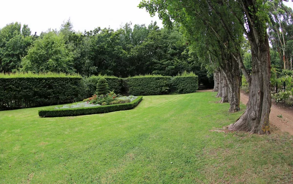 花园景观 澳大利亚维多利亚州Shoreham Ashcombe迷宫和薰衣草花园 — 图库照片