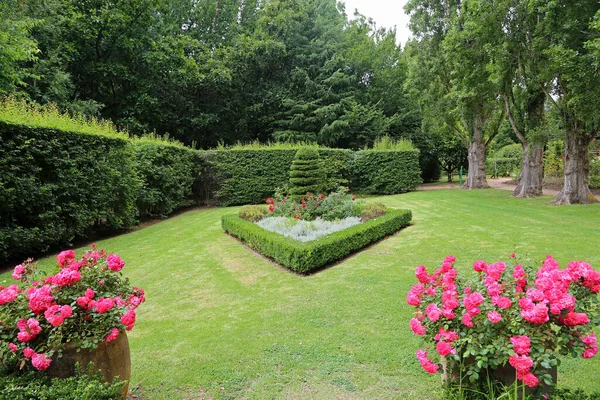 Идиллический Сад Ashcombe Maze Lavender Gardens Виктория Австралия — стоковое фото