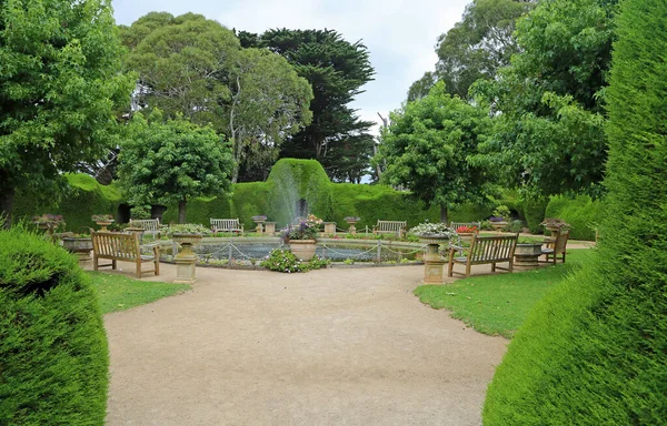 放松花园 澳大利亚维多利亚Ashcombe迷宫和薰衣草花园 — 图库照片