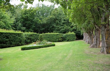 Yeşil manzara - Ashcombe Maze ve Lavanta Bahçeleri, Victoria, Avustralya