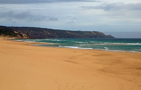 Cape Schanck Gunnamatta Plajı Victoria Avustralya — Stok fotoğraf