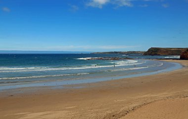 Smiths Sahil Koyu - Phillip Adası, Victoria, Avustralya