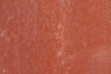 Kırmızı aşınmış boya ve küçük paslı eski noktadan oluşan bir sürü metal doku arka plan 