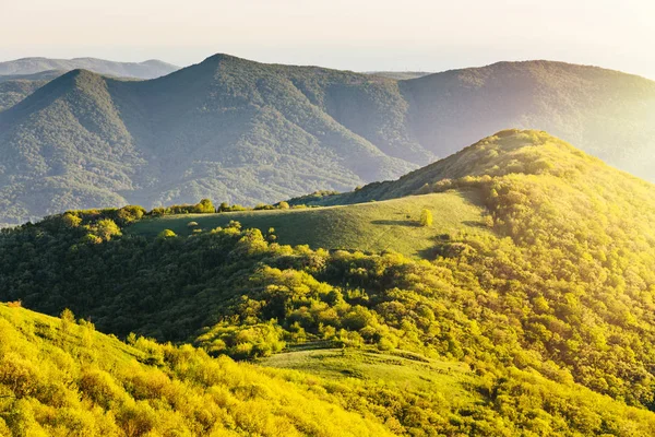 Spring sunny landscape with wonderful green mountains and one tree hill. Beautiful meadow at the top of a mountain and forest with fresh leaves in the golden sunlight. Krasnodar krai, Russia