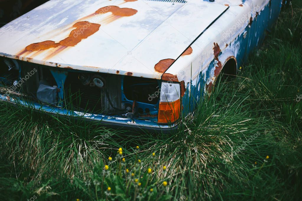 Front side of old rusty abandoned car in the grass with small flowers at countryside junkyard. View from above on shabby paint body corner, hood and empty nose grill without headlights