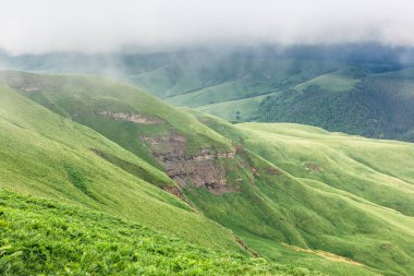Bir uçurumun kenarında, bir taze yeşil çimenlerin üzerinde bir dağın, herdem yeşil orman ve kasvetli yaz gününde alçak bulutlar ile sakin alp sahne. Kafkas Dağları manzara. Karaçay-çerkez Cumhuriyeti, Rusya Federasyonu