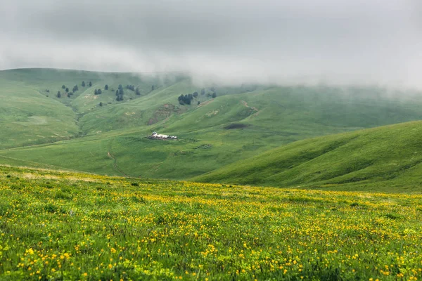 薄暗い夏の日の丘 農家と暗雲低上黄色の花を転がりグリーンに静かなアルプスの景観 田舎風景北コーカサス山脈で — ストック写真