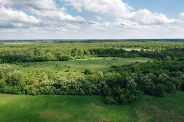 Güneşli bir günde yeşil orman ağaçları arasında çim çayırhavadan görünümü. Güzel doğal çevre