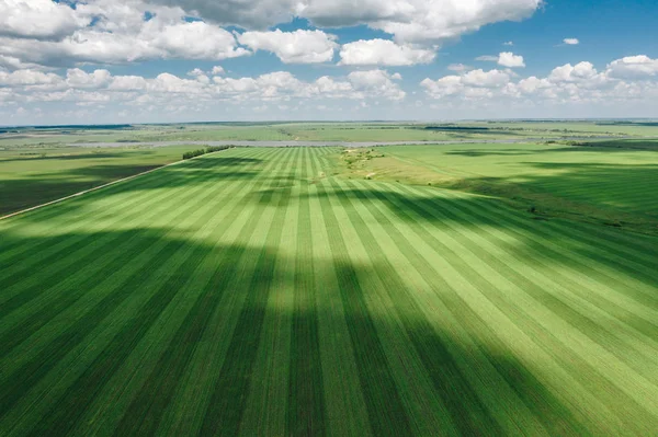 Vista Aérea Del Campo Hierba Verde Rayas Con Sombras Las — Foto de Stock