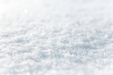 Arkaplanı bulanık parlak, pofuduk karın yakın plan görüntüsü