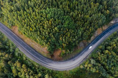 Yeşil orman ağaçları arasındaki dağ yolu eğrisinin yukarıdan aşağıya doğru görüntüsü. Otobanda küçük bir kargo kamyonu var. Baikalsk yakınlarındaki Baykal Gölü kıyısında P-258 yolu, Buryatia, Rusya