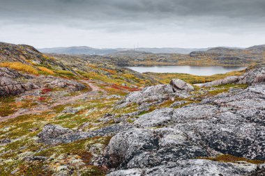 Sonbahar mevsiminde Kuzey Tundra 'nın renkli kayalık manzarası. Rus kuzeyinin vahşi doğası Teriberka yakınlarında. Kola Yarımadası, Murmansk Oblastı, Rusya