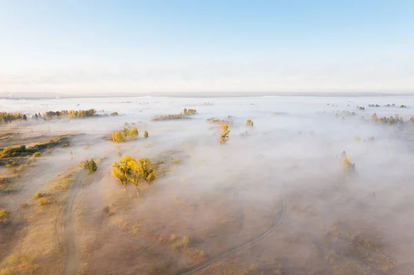 Niebla Mañana Sobre Campo Con Árboles Campo Amanecer Vista Panorámica — Foto de Stock