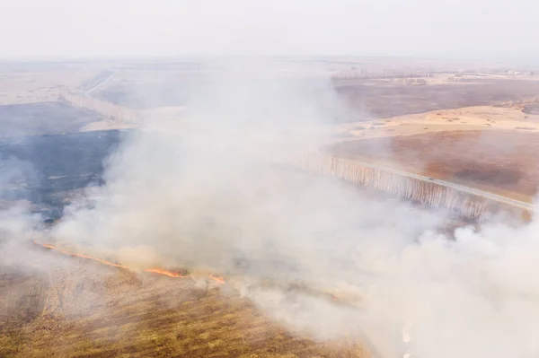 Fuego Campo Vista Aérea Del Dron Hierba Seca Ardiendo Campo —  Fotos de Stock