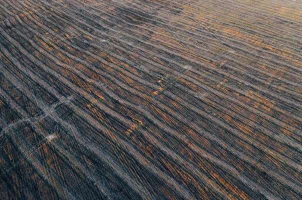 Αεροφωτογραφία Του Άδειου Θεριζόμενου Αγρού Στα Τέλη Του Φθινοπώρου Γεωργικές — Φωτογραφία Αρχείου