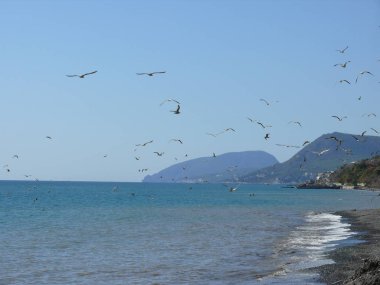 Ayu-dag. Bear mountain. Crimea. Ukrayna