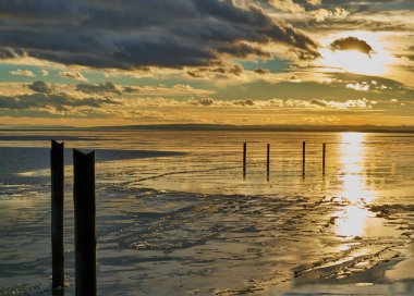                                Avusturya 'da Neusiedlersee ve günbatımı