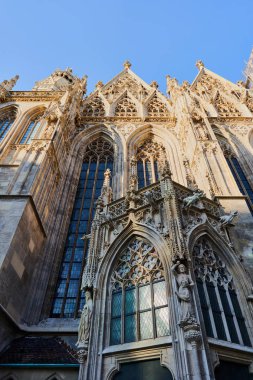                                Viyana Kilisesi düşük açılı görünüm, Avusturya