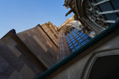                                Viyana, Avusturya'da kilise düşük açı görünümü