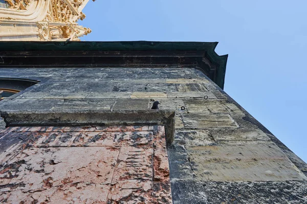 Kirchenmauer Und Taube Wien Österreich — Stockfoto