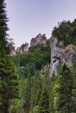 Terchova deve kayası, Slovakya