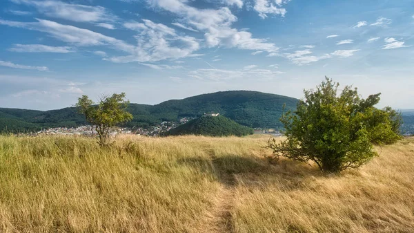 Hainburg, Avusturya'daki Braunsberg Dağı'ndan manzara