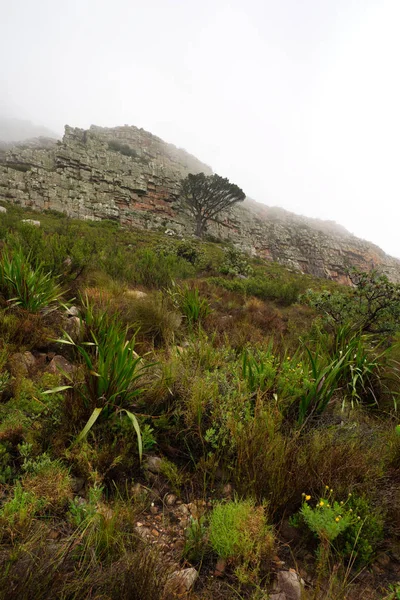 Góra Stołowa Kapsztadzie Rpa — Zdjęcie stockowe