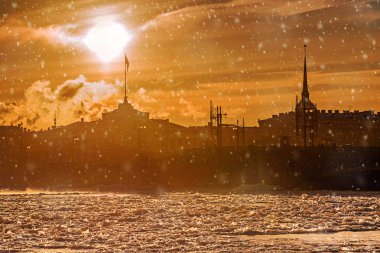 Palace bridge St Petersburg, Rusya Federasyonu