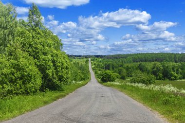perspektif için bir yol, güzel yaz yatay