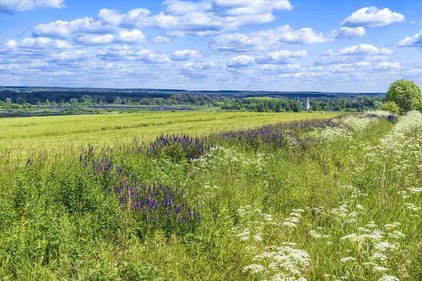 Vackra Ryska Landskap Med Sten Kyrka — Stockfoto