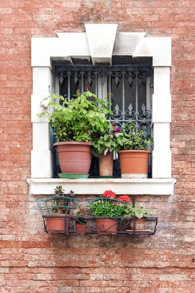 Окно с цветами в доме из красного кирпича — стоковое фото