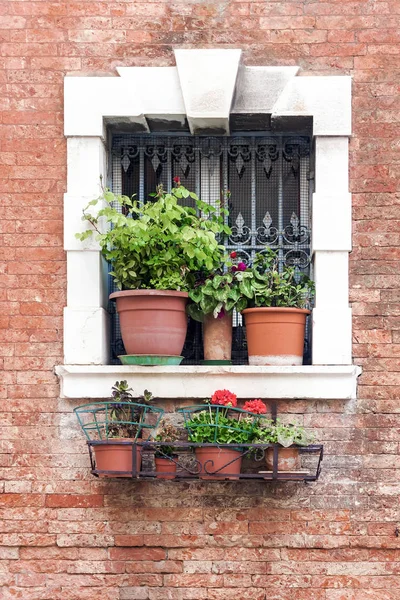 Fenster mit Blumen in einem Haus aus rotem Backstein — Stockfoto