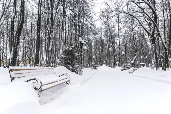 Zimowy park. Aleja w parku pokryta śniegiem — Zdjęcie stockowe
