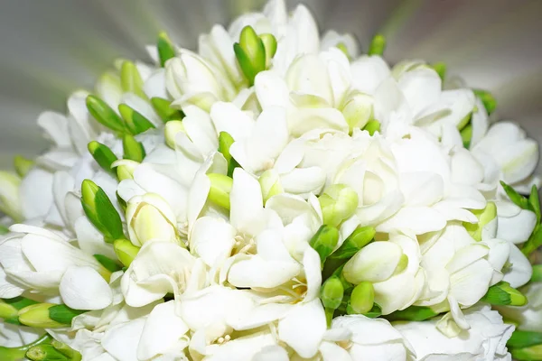 Bellissimo bouquet di fiori bianchi.bello sfondo — Foto Stock