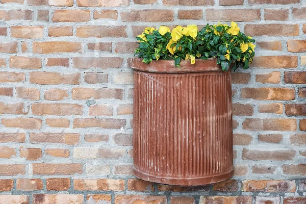 Potes de barro com flores em uma parede de tijolo — Fotografia de Stock