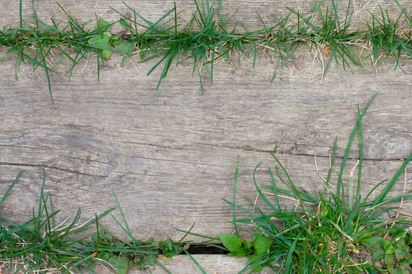 Vacker Natur Bakgrund Grått Trä Och Grönt Gräs Nära Look — Stockfoto