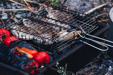 balık ızgara rendeleyin, seçici odak yakın çekim