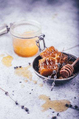 Eflatun kase, seçici odak petek