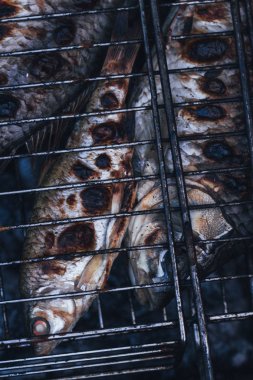 balık ızgara rendeleyin, seçici odak yakın çekim