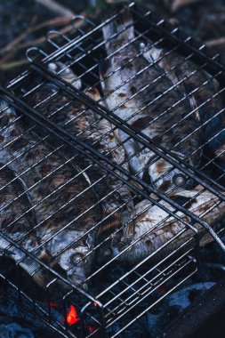 balık ızgara rendeleyin, seçici odak yakın çekim