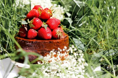 yeşil çimen, seçici odak üzerinde çilek ile çikolatalı kek