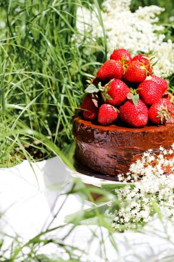 yeşil çimen, seçici odak üzerinde çilek ile çikolatalı kek