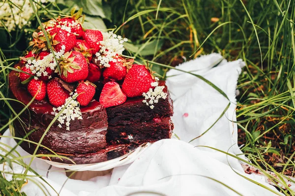 Chocolate Cake Strawberries Green Grass Selective Focus — Stock Photo, Image