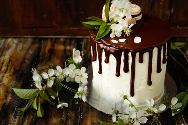 Cake Cream Cheese Chocolate White Flowers Wooden Background — Stock Photo, Image