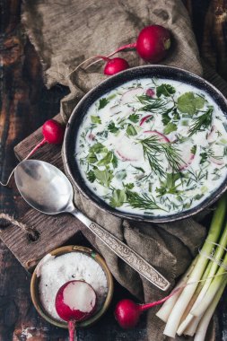 Bahar çorbası ahşap arka plan üzerinde turp ve yeşil soğan ile